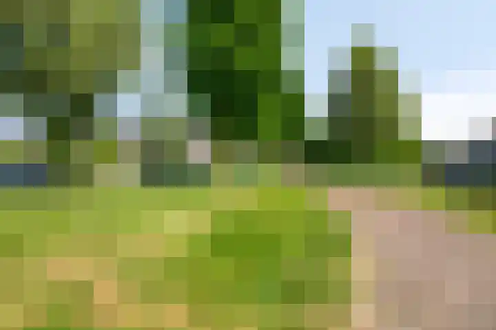 Iepenstraat 4 Roelofarendsveen thumbnail 18