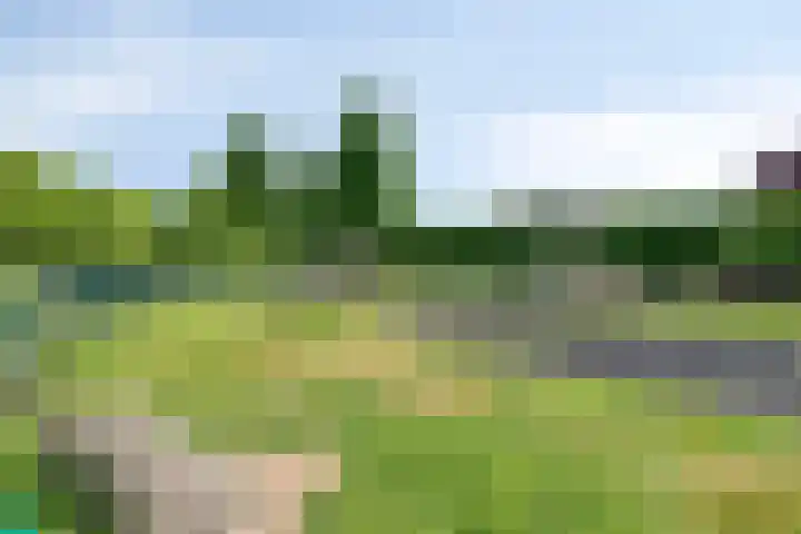 Iepenstraat 4 Roelofarendsveen thumbnail 19