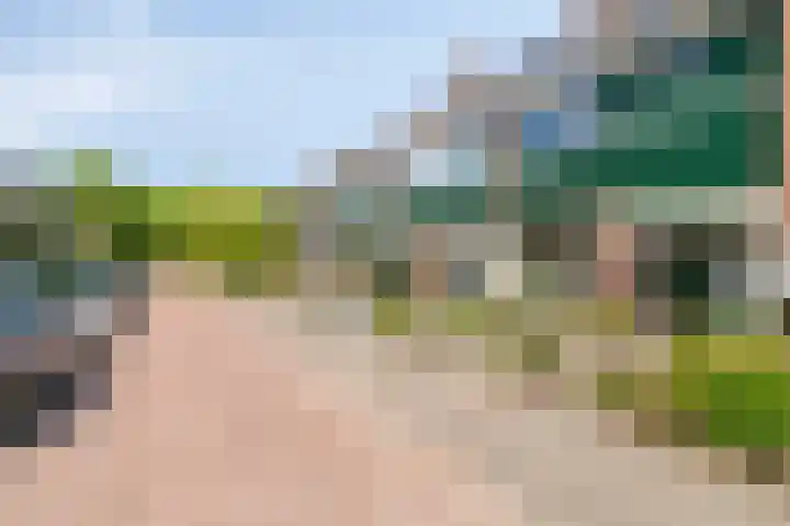 Iepenstraat 4 Roelofarendsveen thumbnail 20