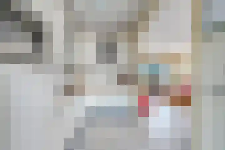 Iepenstraat 4 Roelofarendsveen thumbnail 7