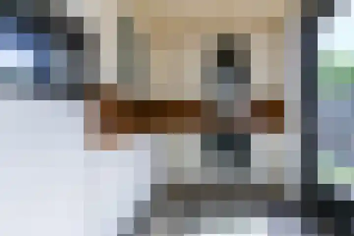 Iepenstraat 4 Sint-Oedenrode thumbnail 4