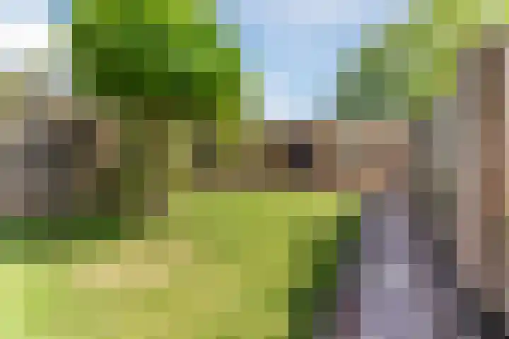 Iepenstraat 4 Sint-Oedenrode thumbnail 41