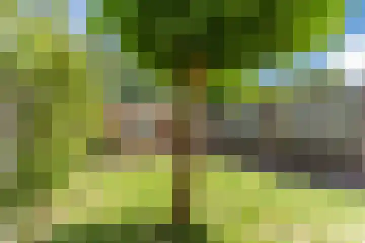 Iepenstraat 4 Sint-Oedenrode thumbnail 42