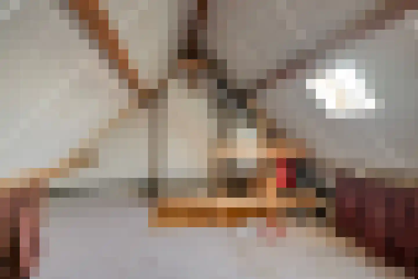 Iepenstraat 43 Winterswijk thumbnail 25