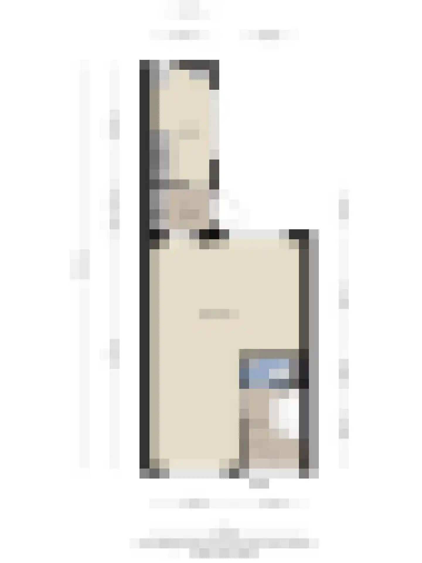 Iepenstraat 43 Winterswijk thumbnail 30