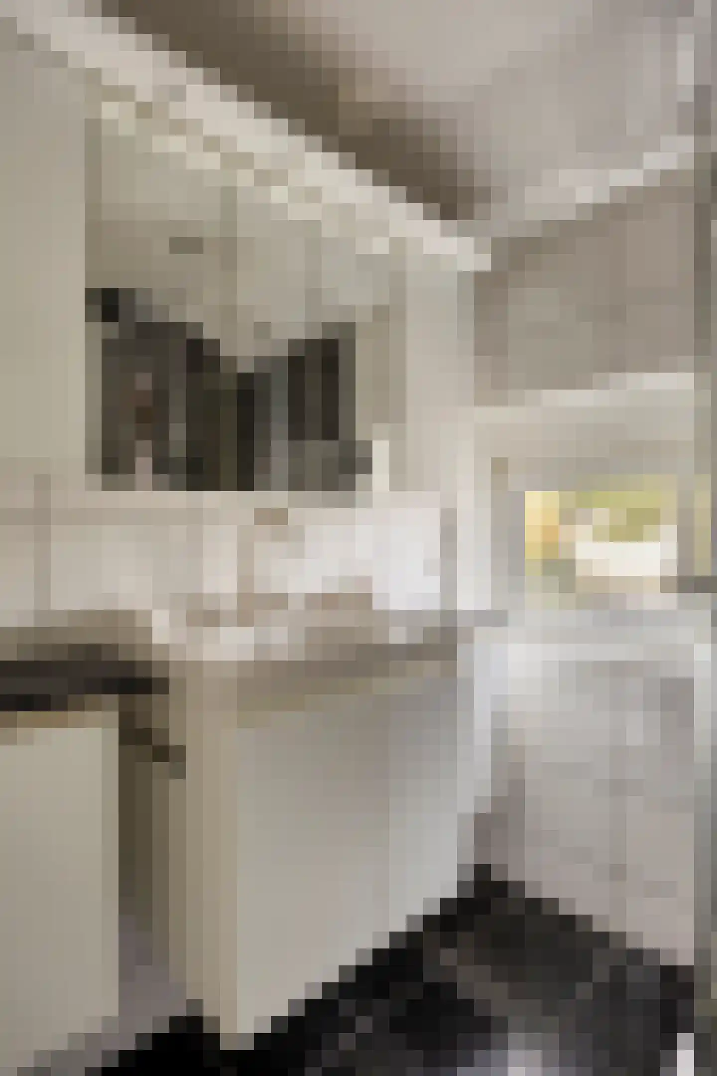 Iepenstraat 44 Brunssum thumbnail 21