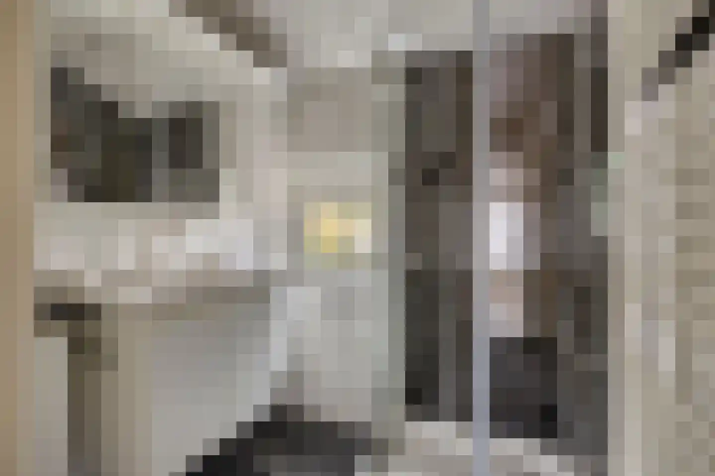 Iepenstraat 44 Brunssum thumbnail 6