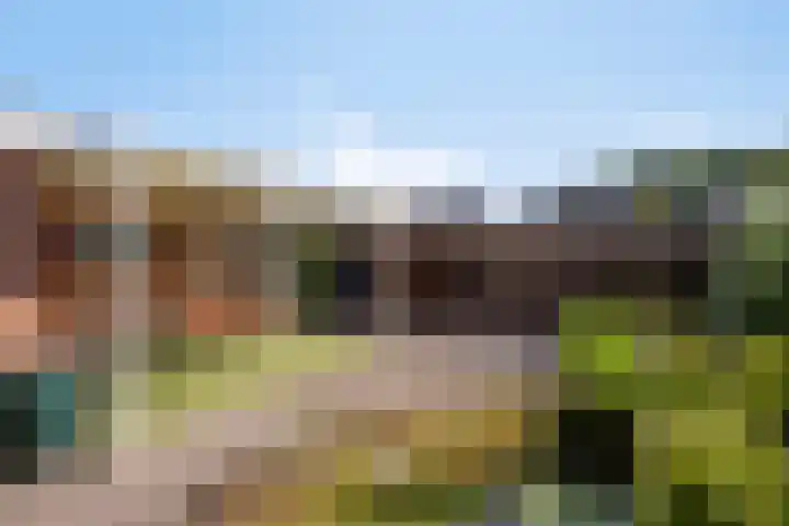 Iepenstraat 5 Nieuwkuijk thumbnail 29