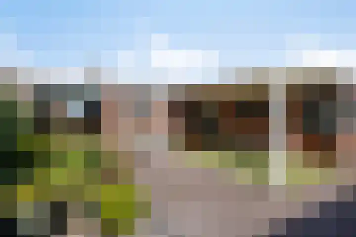 Iepenstraat 5 Nieuwkuijk thumbnail 30