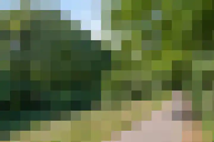 Iepenstraat 5 Nieuwkuijk thumbnail 36