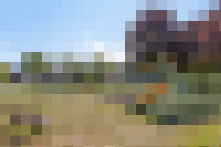Iepenstraat 5 Nieuwkuijk thumbnail 37