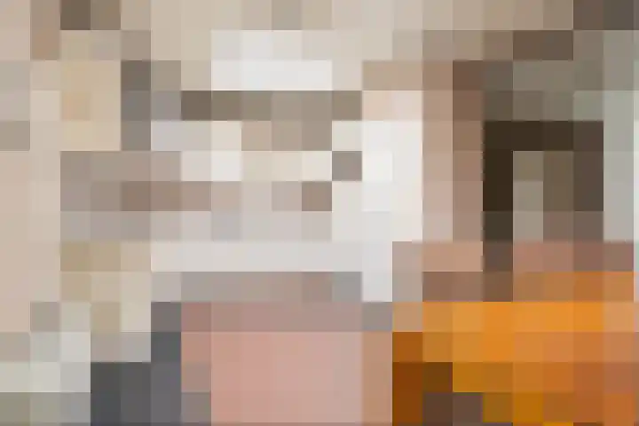 Iepenstraat 5 Oudenbosch thumbnail 17
