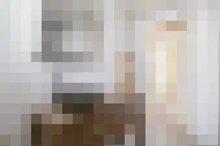 Iepenstraat 5 Oudenbosch thumbnail 28