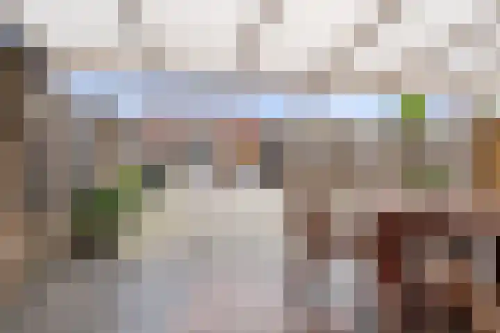 Iepenstraat 5 Oudenbosch thumbnail 38