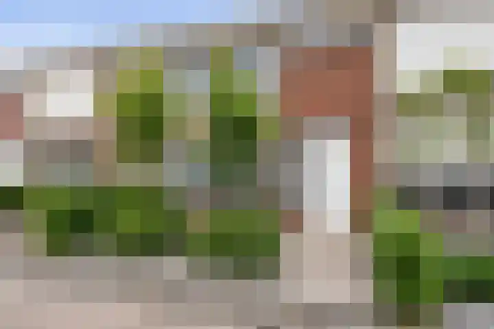 Iepenstraat 5 Oudenbosch thumbnail 8
