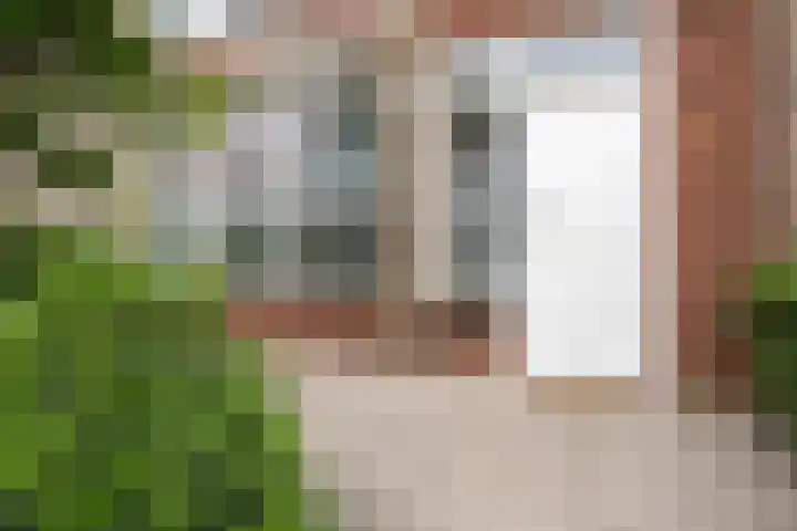 Iepenstraat 5 Oudenbosch thumbnail 9