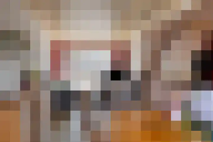 Iepenstraat 55 Oss thumbnail 14