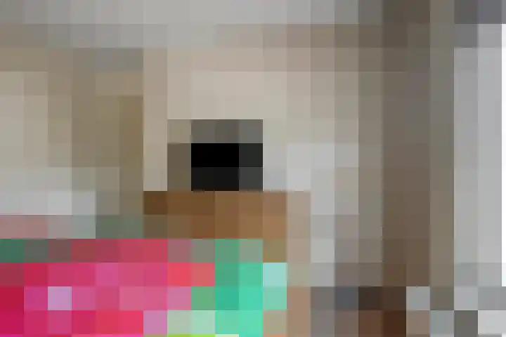 Iepenstraat 55 Oss thumbnail 21