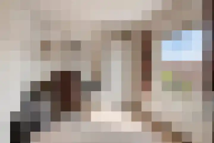 Iepenstraat 55 Oss thumbnail 23
