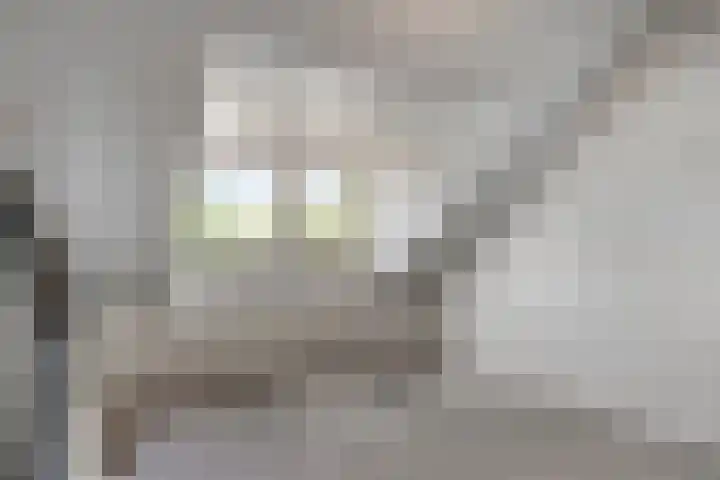 Iepenstraat 55 Oss thumbnail 28