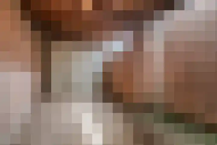 Iepenstraat 55 Oss thumbnail 32
