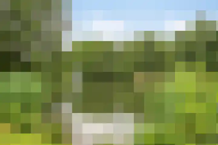 Iepenstraat 55 Oss thumbnail 33