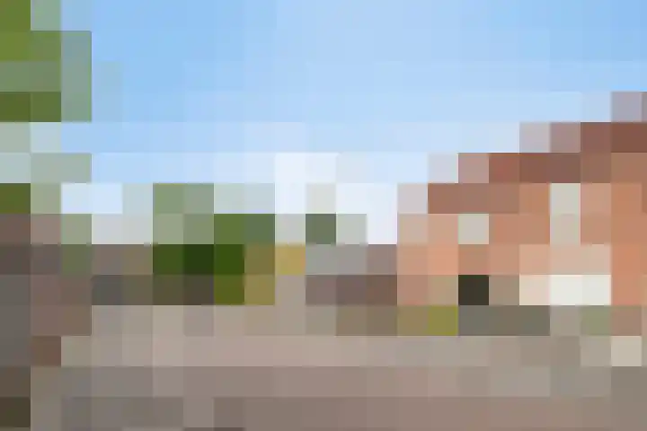 Iepenstraat 55 Oss thumbnail 35