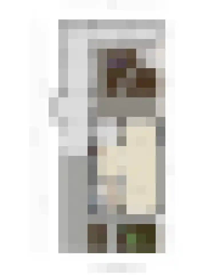 Iepenstraat 55 Oss thumbnail 36