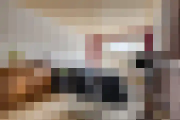 Iepenstraat 55 Oss thumbnail 9