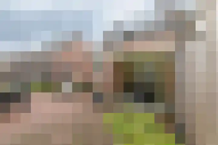 Iepenstraat 57 Brunssum thumbnail 27