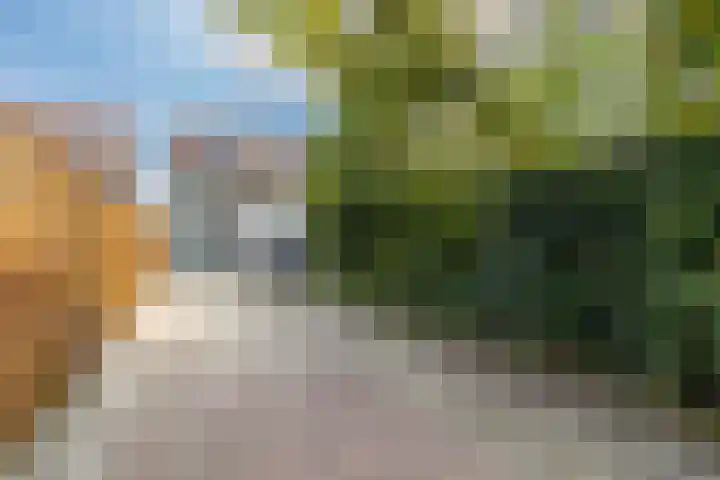 Iepenstraat 59 Almelo thumbnail 21