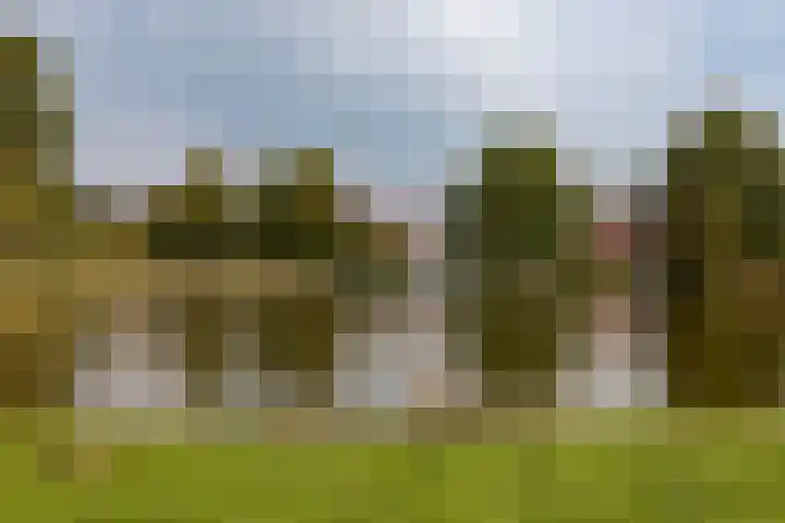 Iepenstraat 59 Almelo thumbnail 23