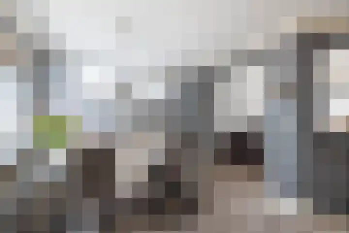 Iepenstraat 59 Almelo thumbnail 8