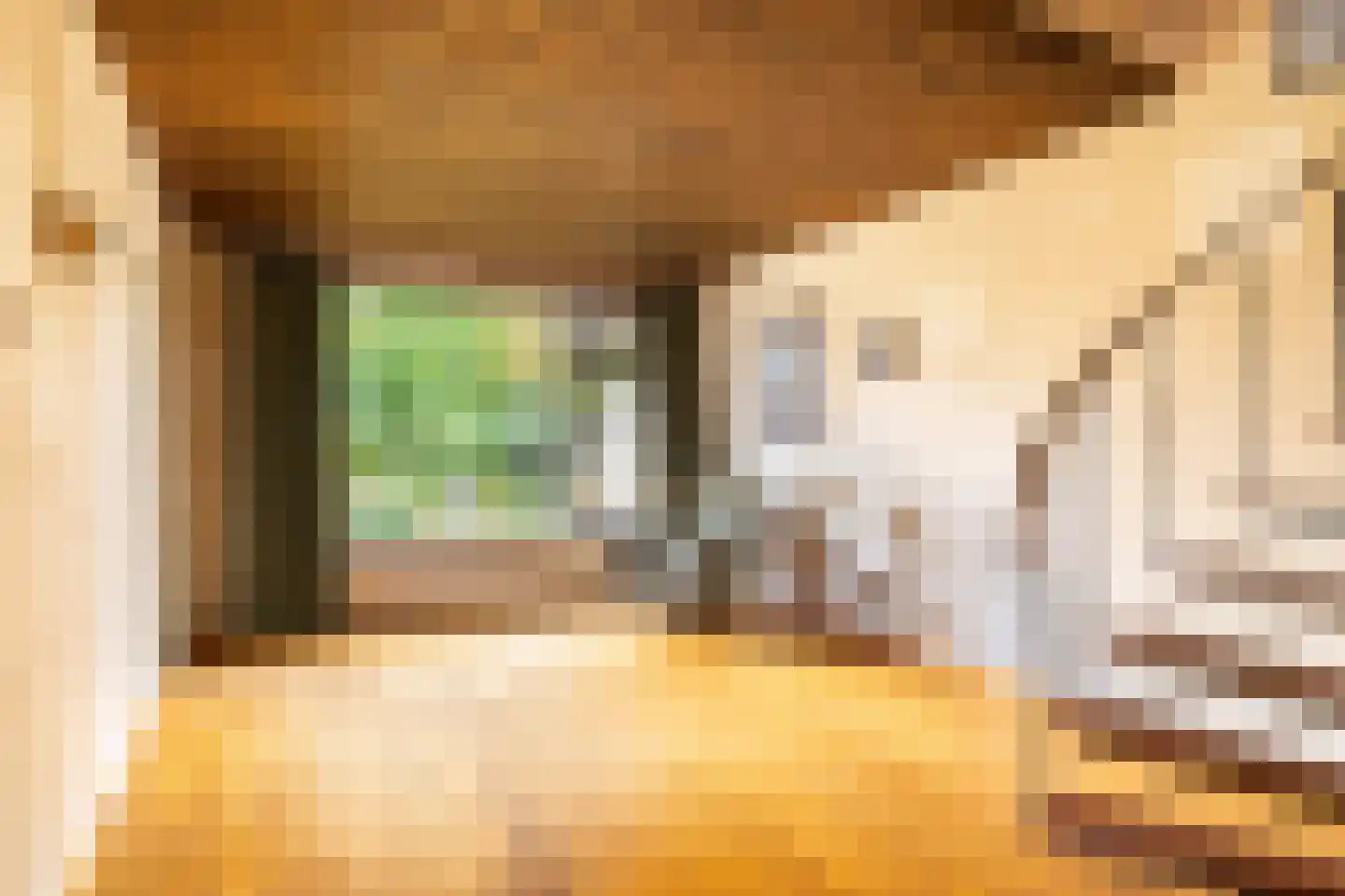 Iepenstraat 6 Kampen thumbnail 10