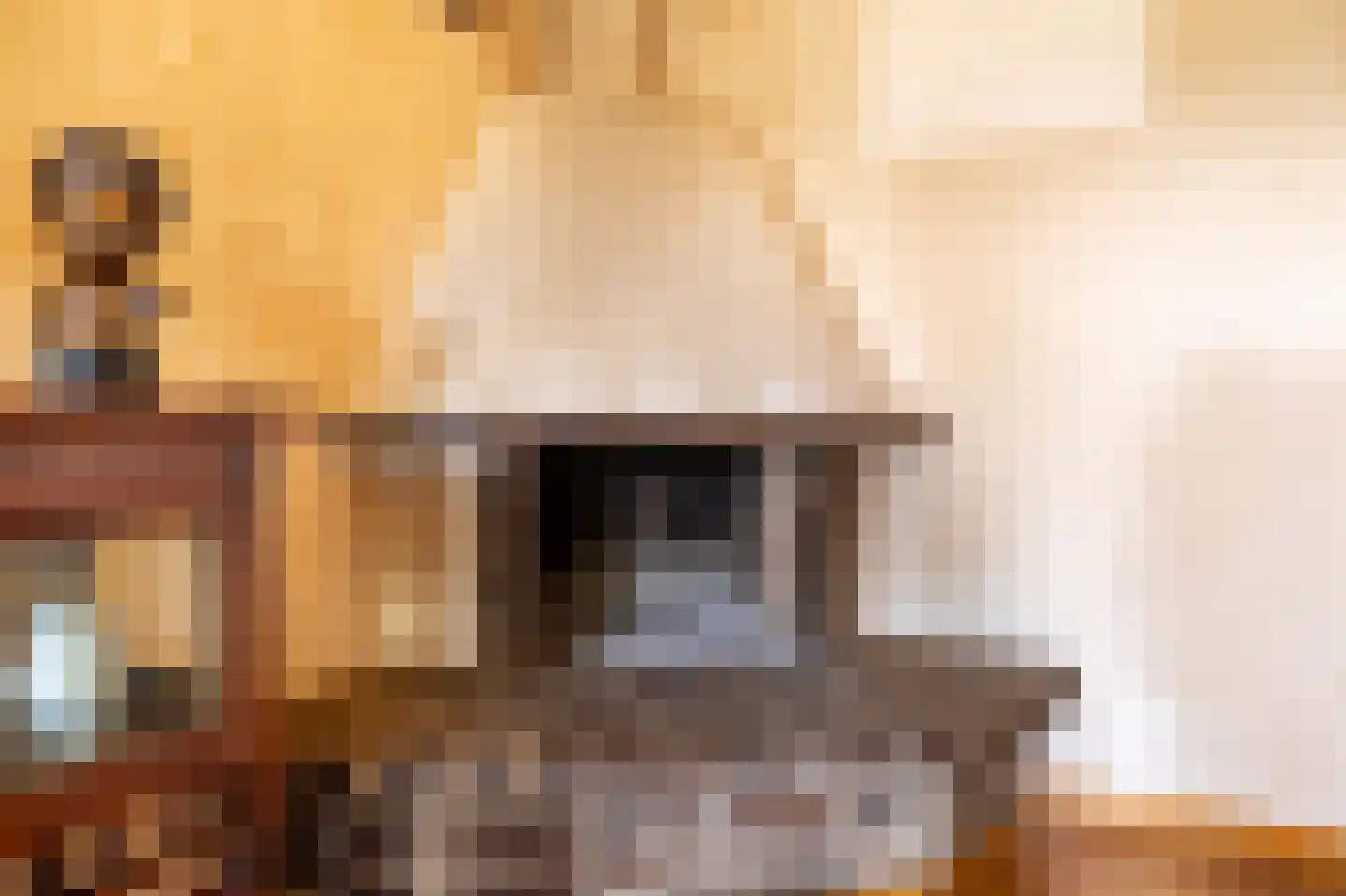 Iepenstraat 6 Kampen thumbnail 12
