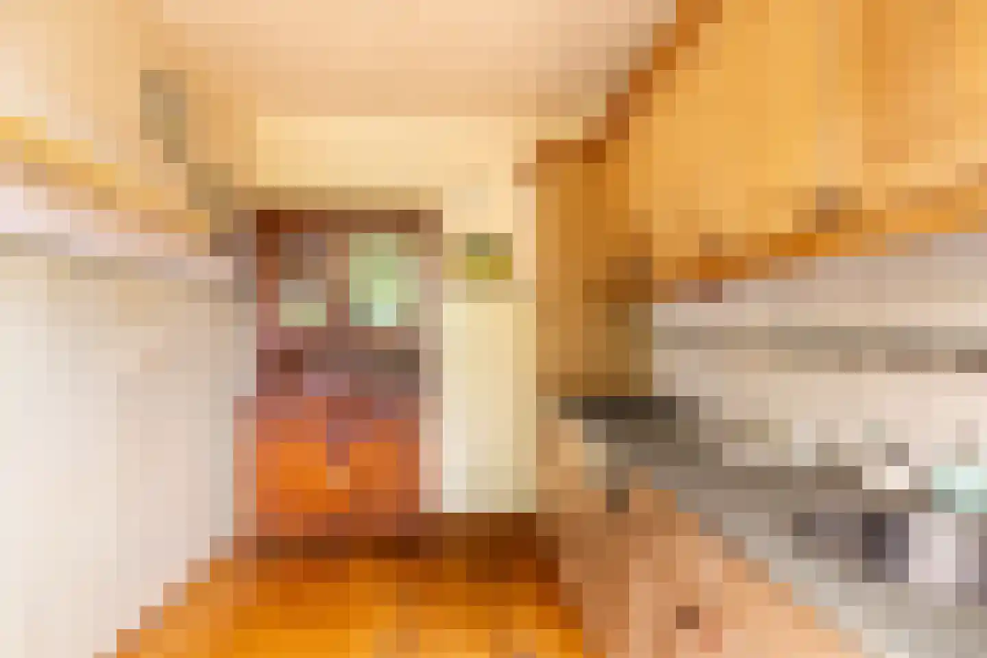 Iepenstraat 6 Kampen thumbnail 14