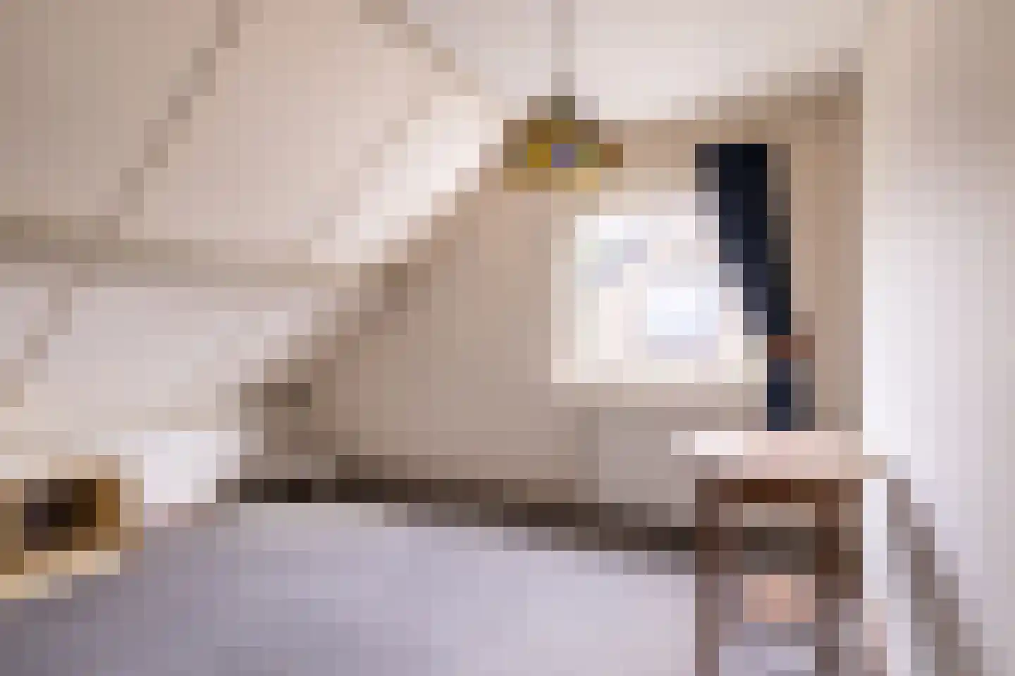 Iepenstraat 6 Kampen thumbnail 33