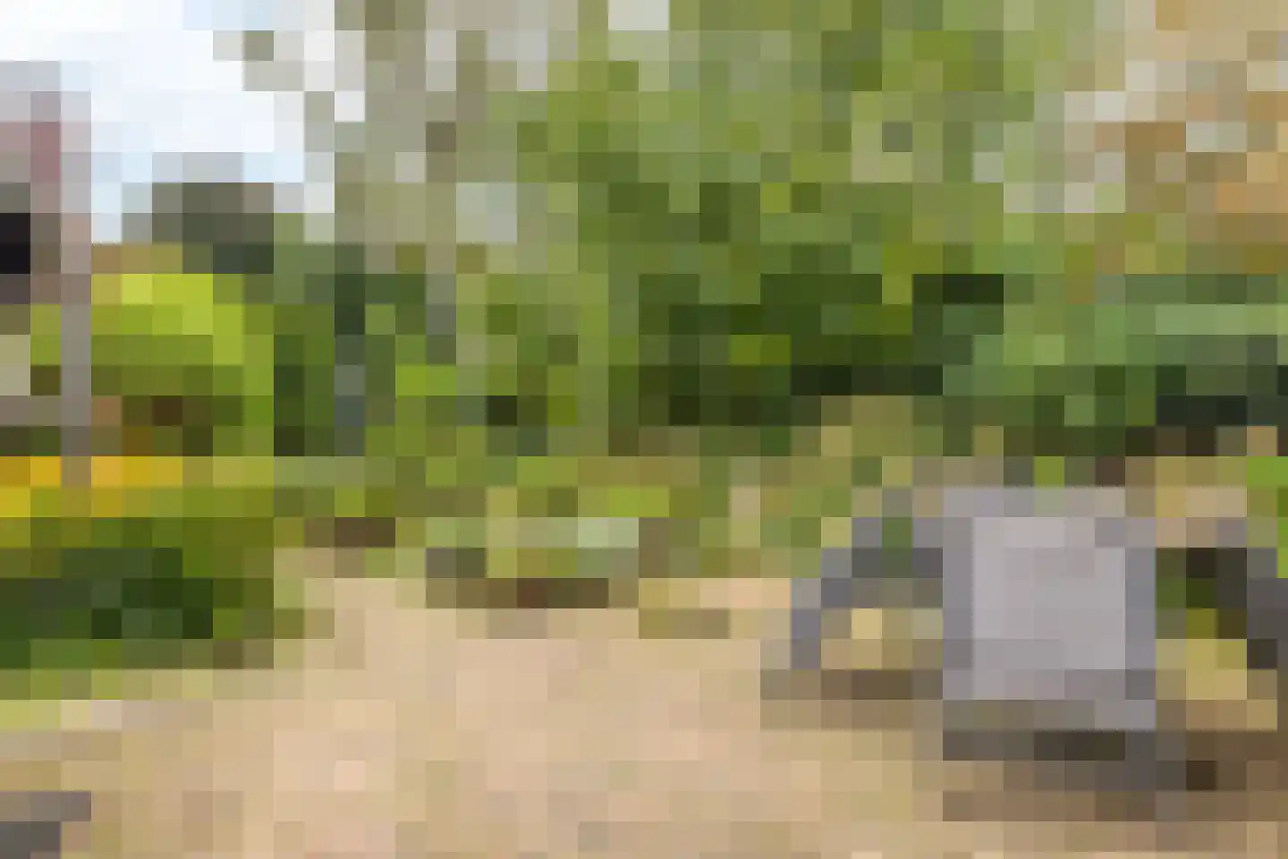 Iepenstraat 6 Kampen thumbnail 40