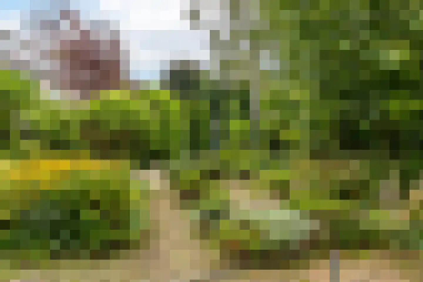 Iepenstraat 6 Kampen thumbnail 42