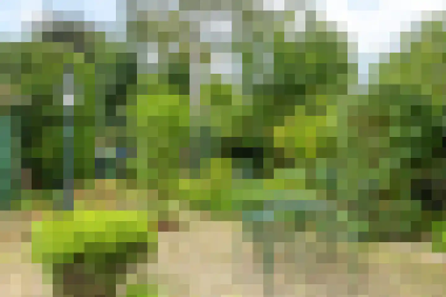 Iepenstraat 6 Kampen thumbnail 43