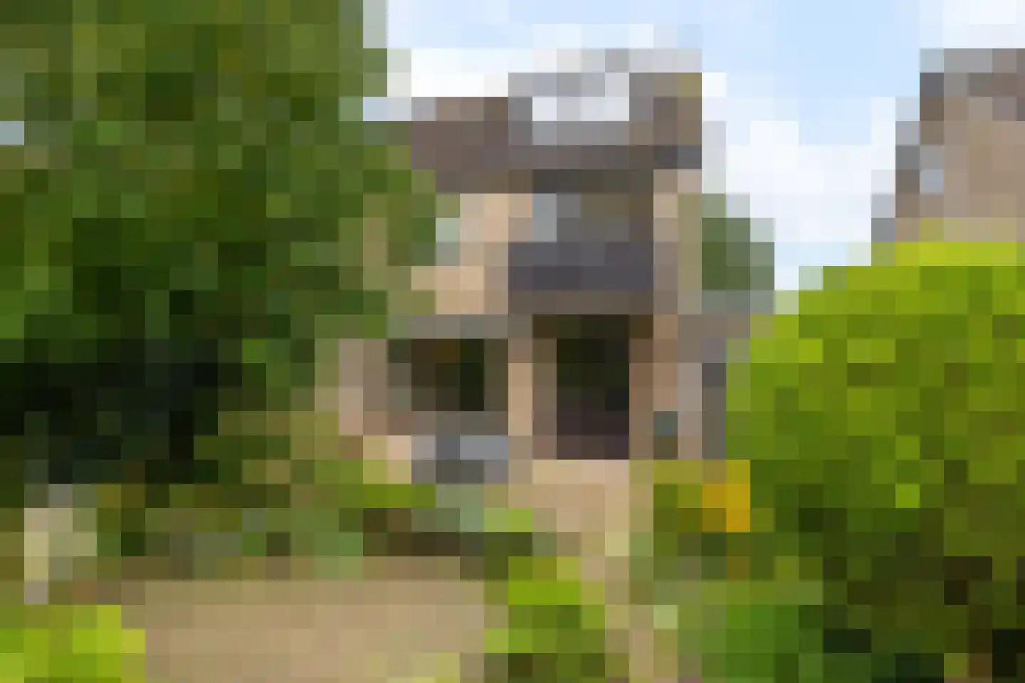 Iepenstraat 6 Kampen thumbnail 44