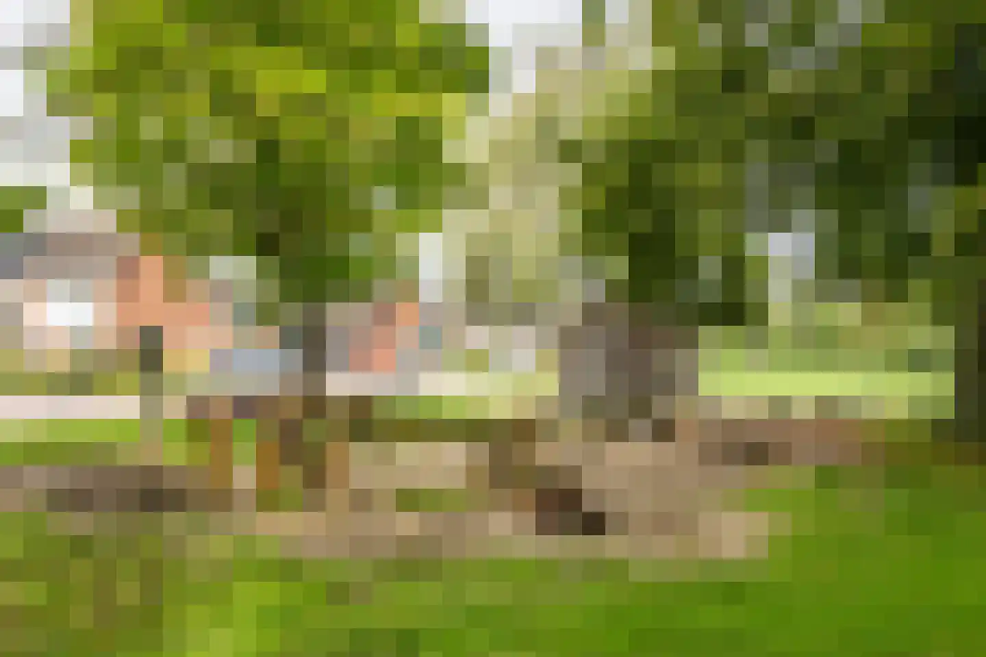 Iepenstraat 6 Kampen thumbnail 45