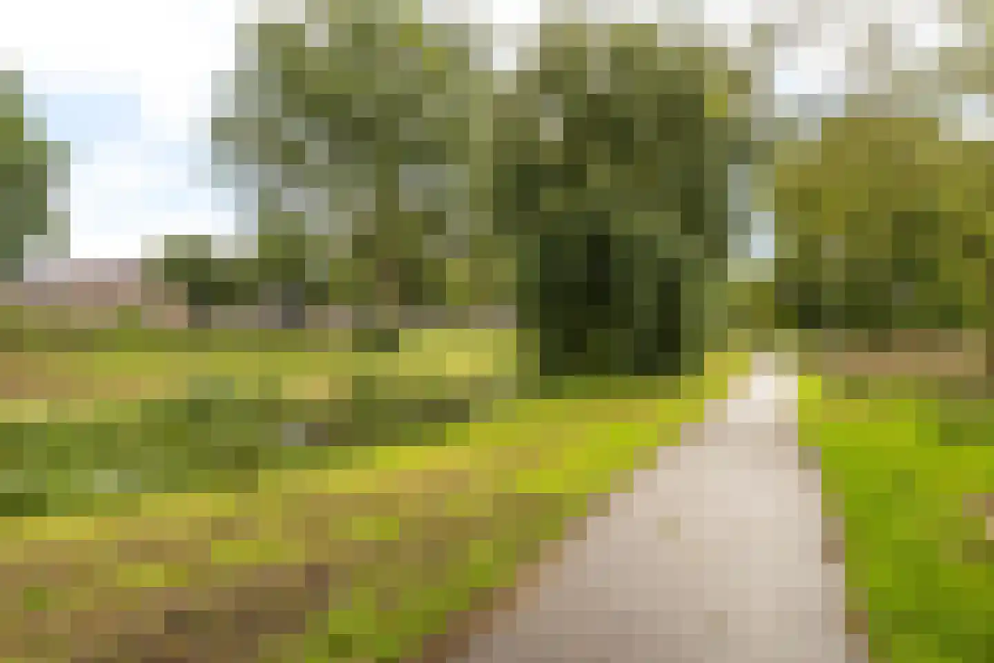 Iepenstraat 6 Kampen thumbnail 47