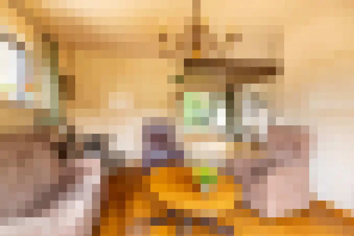 Iepenstraat 6 Kampen thumbnail 8
