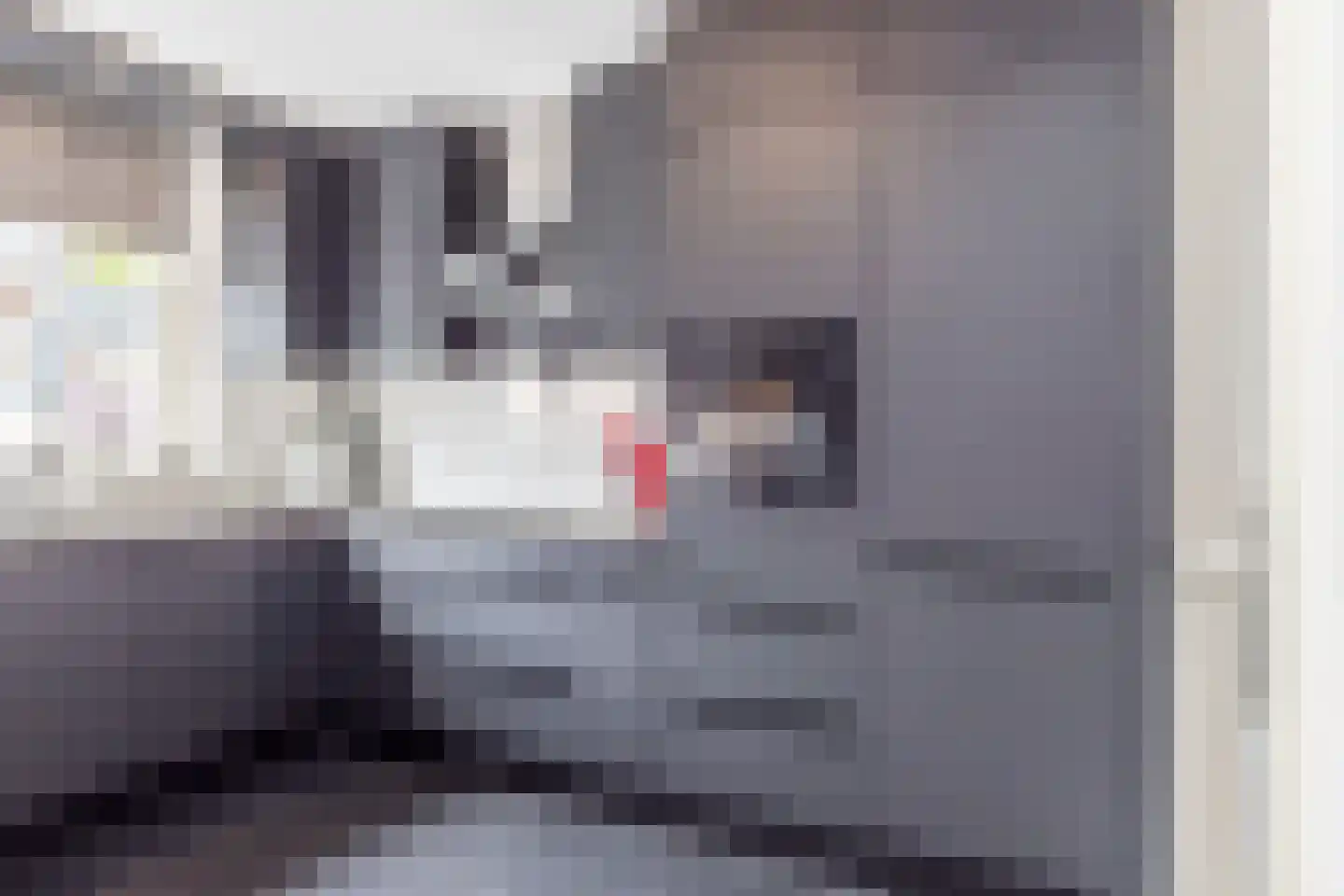 Iepenstraat 65 Brunssum thumbnail 14
