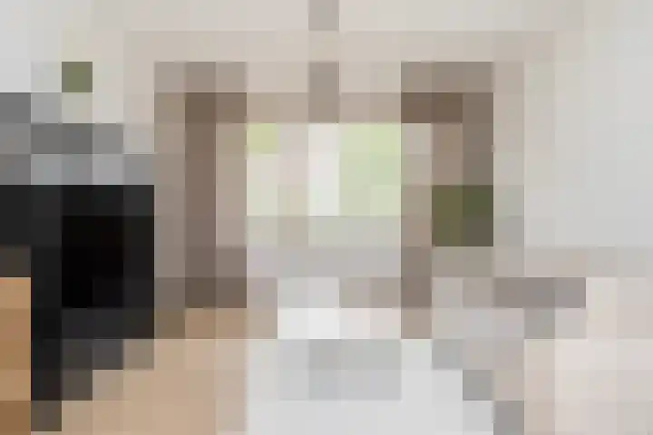 Iepenstraat 88 Zwolle thumbnail 11