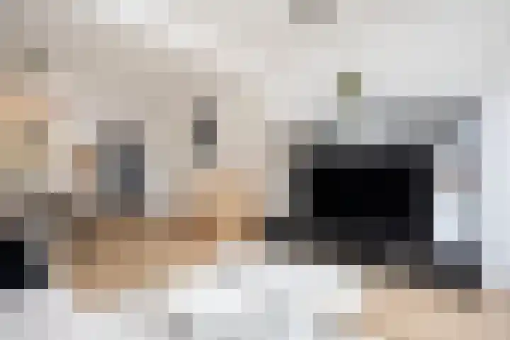Iepenstraat 88 Zwolle thumbnail 12