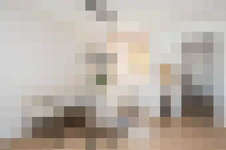Iepenstraat 88 Zwolle thumbnail 13