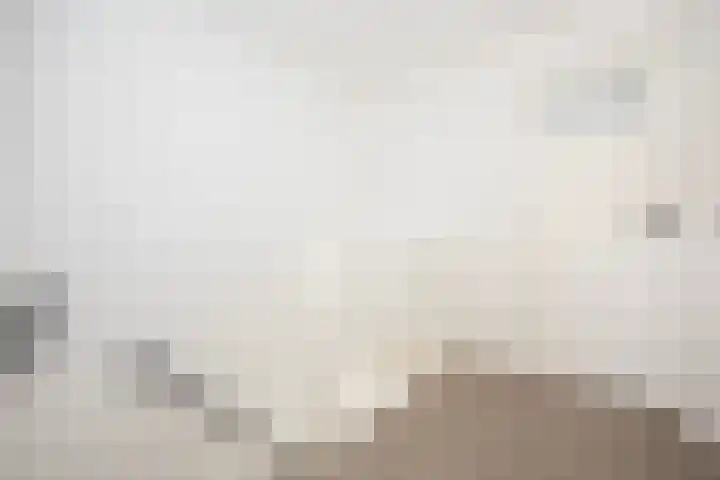 Iepenstraat 88 Zwolle thumbnail 22