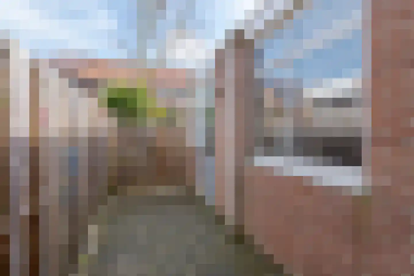 Iepenstraat 88 Zwolle thumbnail 23
